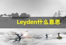 Leyden什么意思,Leyden用法,Leyden同义词,Leyden的发音-涂之词典