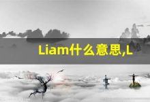 Liam什么意思,Liam用法,Liam同义词,Liam的发音-涂之词典