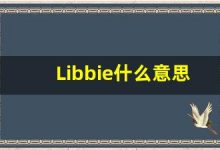 Libbie什么意思,Libbie用法,Libbie同义词,Libbie的发音-涂之词典