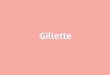 Gillette中文翻译,Gillette是什么意思,Gillette发音、用法及例句(gillette怎么读)-涂之词典