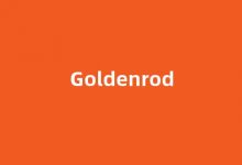 Goldenrod中文翻译,Goldenrod是什么意思,Goldenrod发音、用法及例句(golden是什么意思中文翻译怎么读)-涂之词典