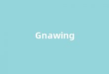 Gnawing中文翻译,Gnawing是什么意思,Gnawing发音、用法及例句(gnaw英文)-涂之词典