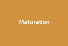 Maturation中文翻译,Maturation是什么意思,Maturation发音、用法及例句-涂之词典