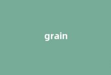 Grain中文翻译,Grain是什么意思,Grain发音、用法及例句(grain的中文意思)-涂之词典