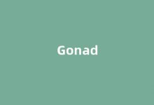 Gonad中文翻译,Gonad是什么意思,Gonad发音、用法及例句(goad是什么意思 翻译)-涂之词典