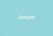 Gizzard中文翻译,Gizzard是什么意思,Gizzard发音、用法及例句(gizzards是什么意思)-涂之词典