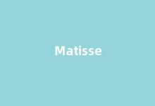 Matisse中文翻译,Matisse是什么意思,Matisse发音、用法及例句-涂之词典