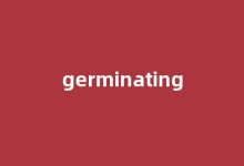 Germinating中文翻译,Germinating是什么意思,Germinating发音、用法及例句(germinal是什么意思)-涂之词典