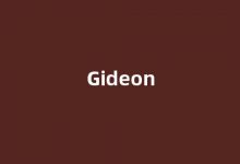 Gideon中文翻译,Gideon是什么意思,Gideon发音、用法及例句(gideon俚语什么意思)-涂之词典